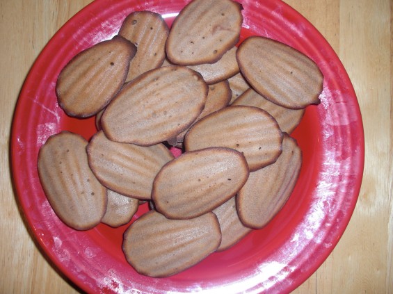 Chocolate Madeleine Cookies